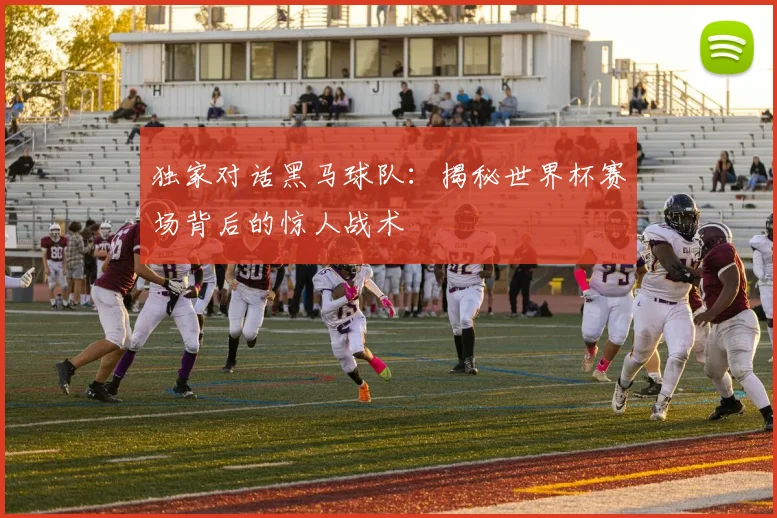 独家对话黑马球队：揭秘世界杯赛场背后的惊人战术